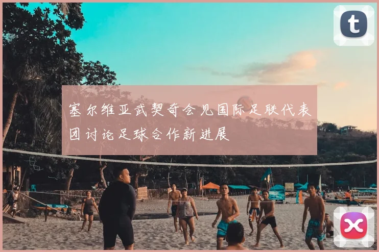 塞尔维亚武契奇会见国际足联代表团讨论足球合作新进展
