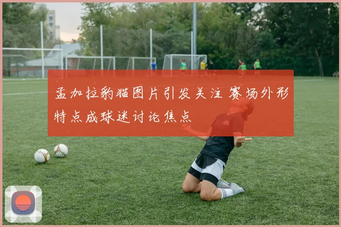 孟加拉豹猫图片引发关注 赛场外形特点成球迷讨论焦点